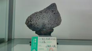 长安大学
