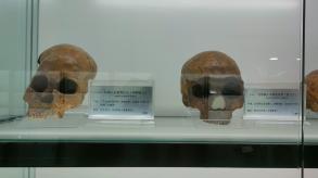 长安大学