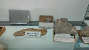 长安大学