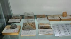 长安大学