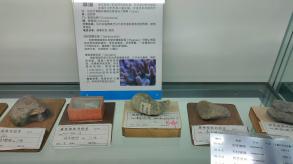 长安大学
