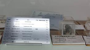 长安大学