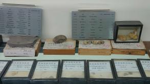 长安大学