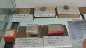 长安大学