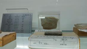 长安大学
