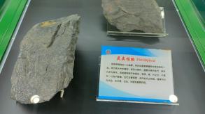 长安大学