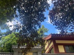 大兴善寺