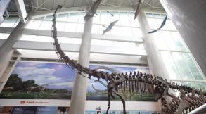 南京古生物博物馆