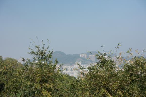 罗湖翠竹公园