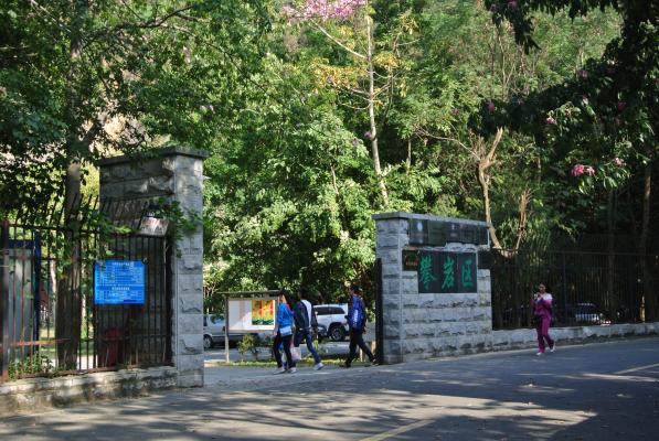 仙桐体育公园