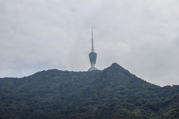 仙桐体育公园