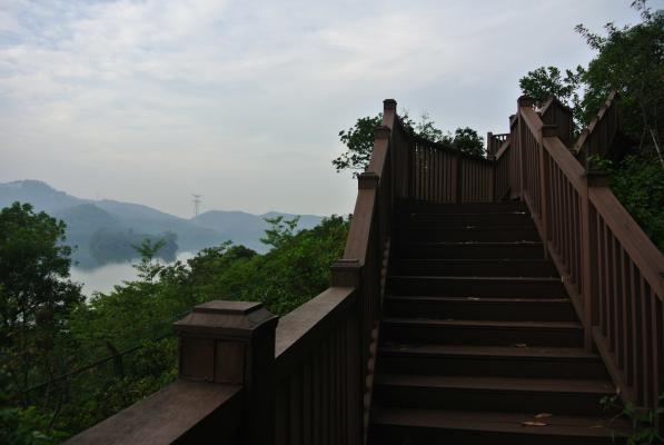 梧桐绿道