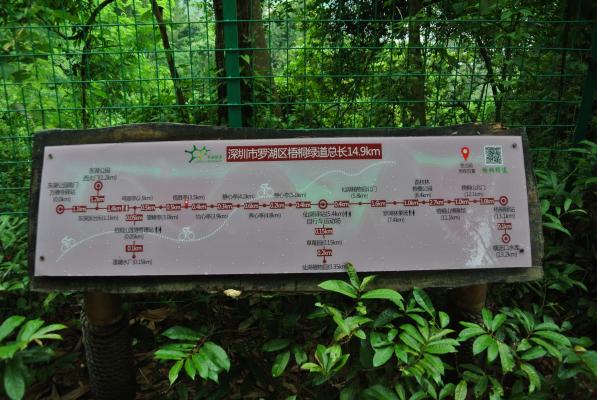 梧桐绿道道路示意图