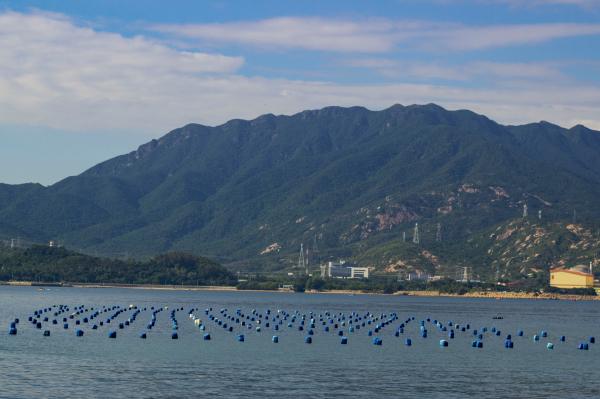 东家湾