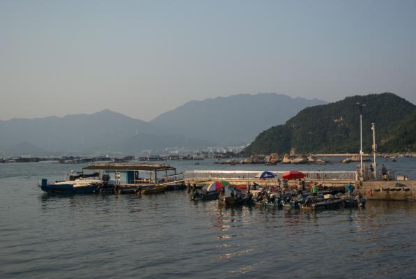 东渔码头
