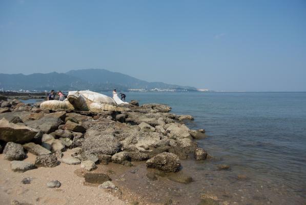 共青团深圳市委教育拓展基地