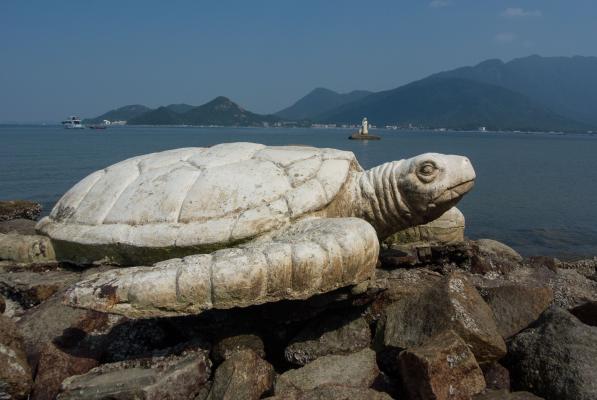 共青团深圳市委教育拓展基地