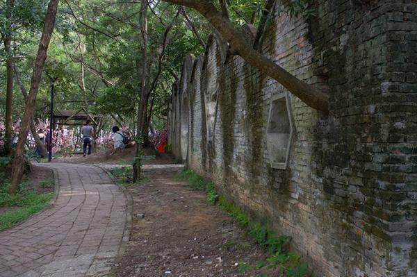 玫瑰海岸婚纱摄影基地