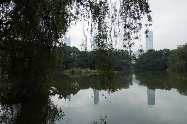 深圳罗湖人民公园