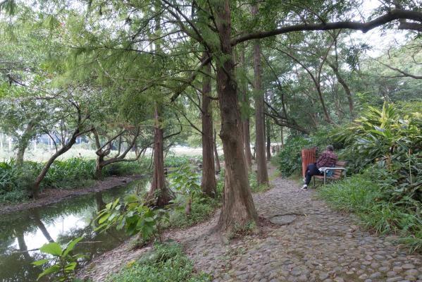 深圳罗湖人民公园