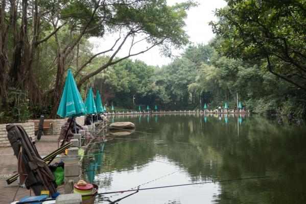 深圳罗湖人民公园钓鱼区