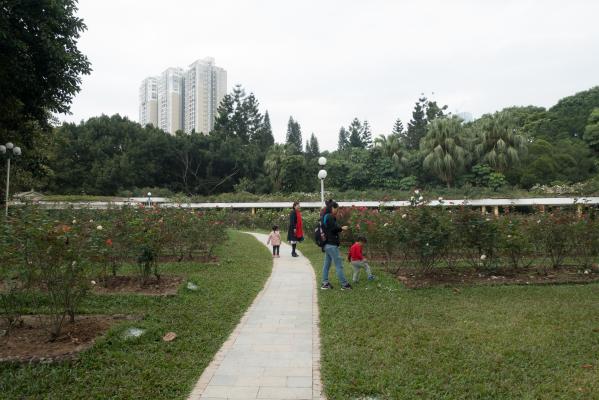 深圳罗湖人民公园
