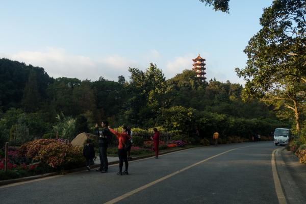 仙湖植物园