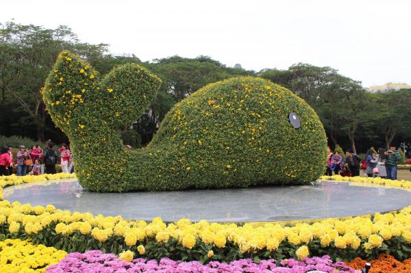 东区公园菊花展造型