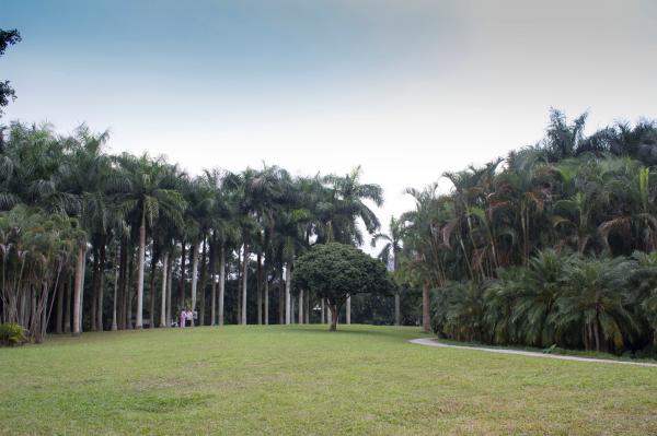 东湖公园草地