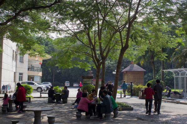 深圳罗湖东湖公园
