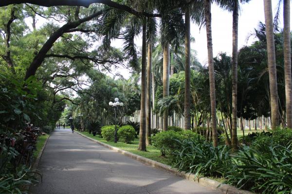 深圳罗湖东湖公园