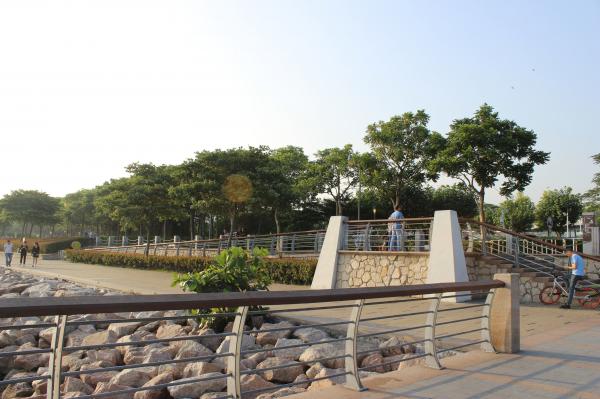 深圳湾公园（红树林公园）