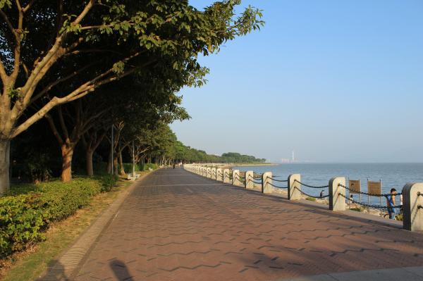 深圳湾公园海景