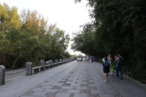 深圳湾公园（红树林公园）