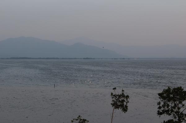 深圳湾公园（红树林公园）
