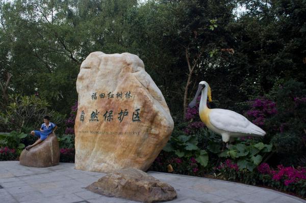 福田红树林自然保护区