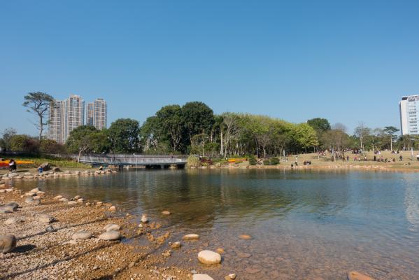香蜜公园