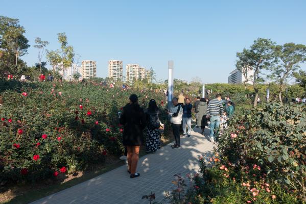 香蜜公园