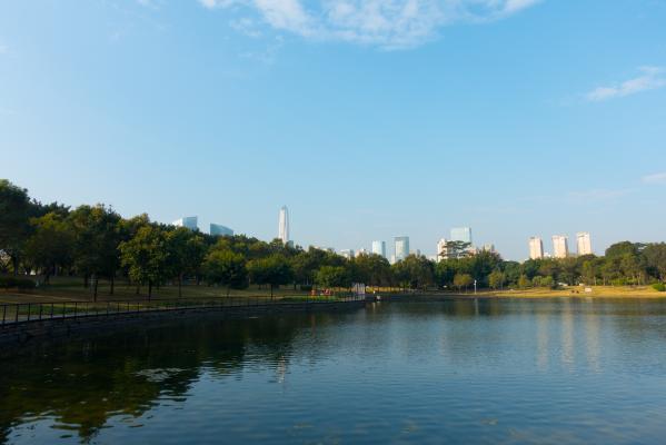 深圳中心公园E1区景观湖