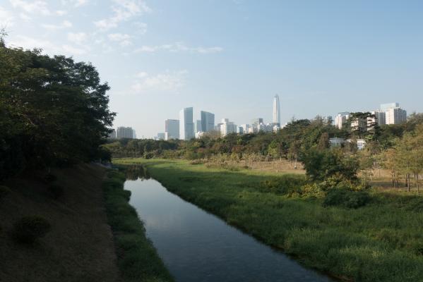 深圳中心公园E1区景观湖