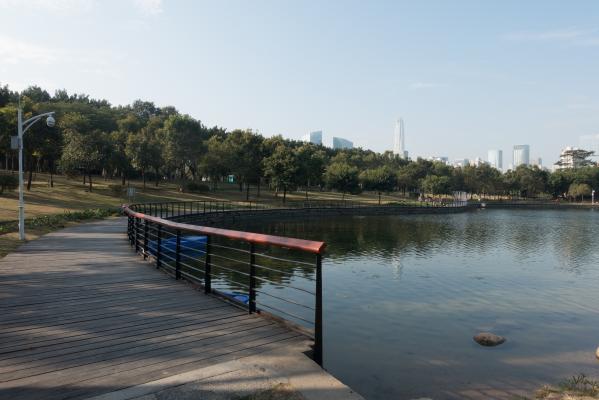 深圳中心公园E1区景观湖