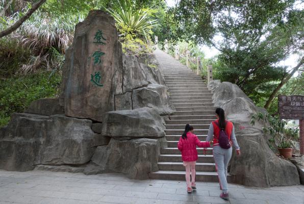 小梧桐登山道登云道