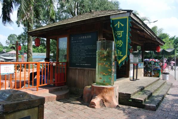 观澜山水田园小河抓鱼
