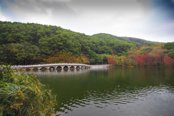 仙湖植物园十一孔桥