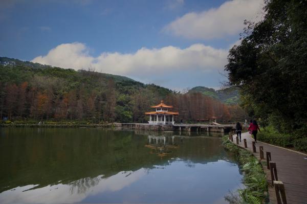 仙湖植物园