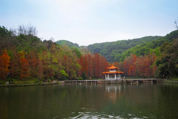 仙湖植物园