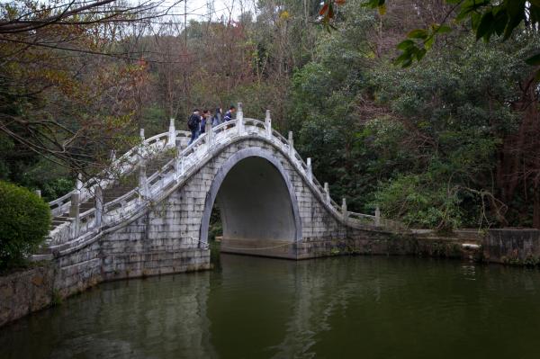 仙湖植物园