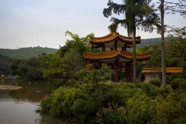 仙湖植物园