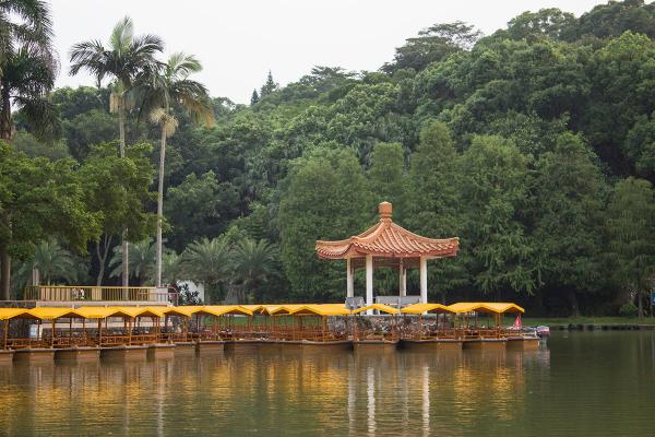 仙湖植物园