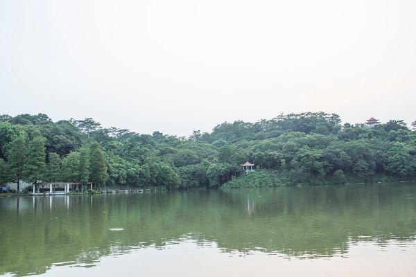 仙湖植物园